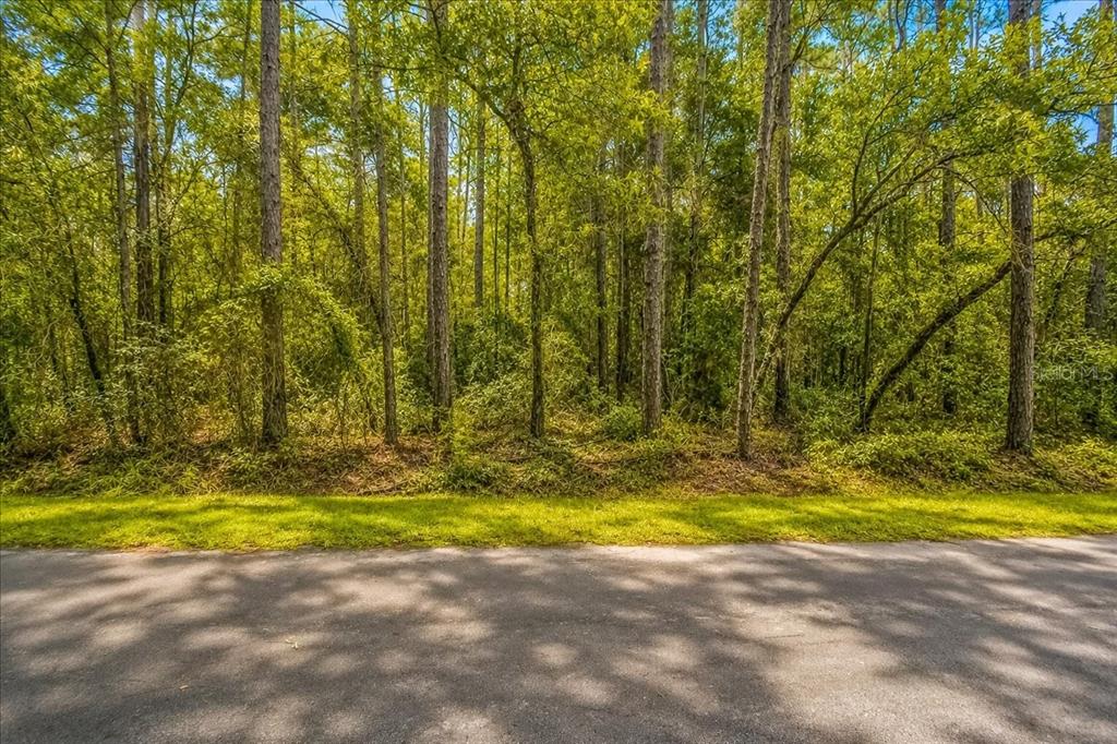 0 Southwest 34th Street Dunnellon, FL 34432 - Photo 4 of 14 Gallery Image 4