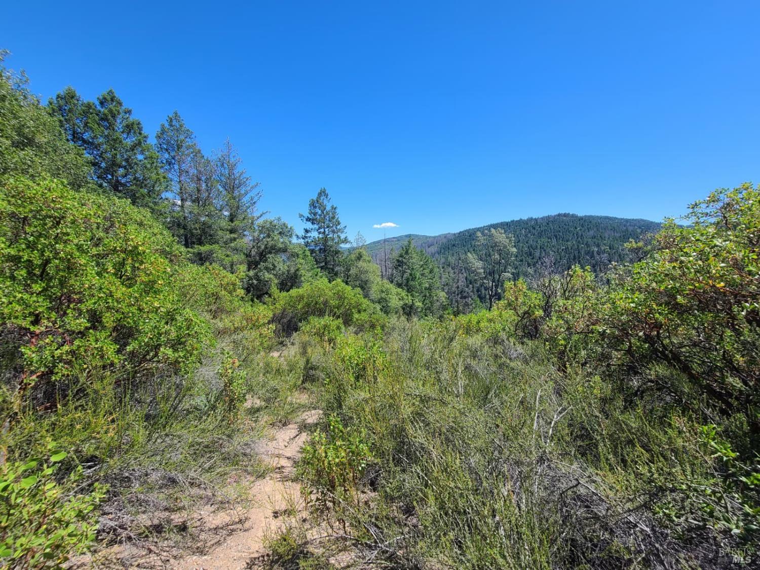 0 Etsel Ridge Road Covelo, CA 95428 - Photo 6 of 18
