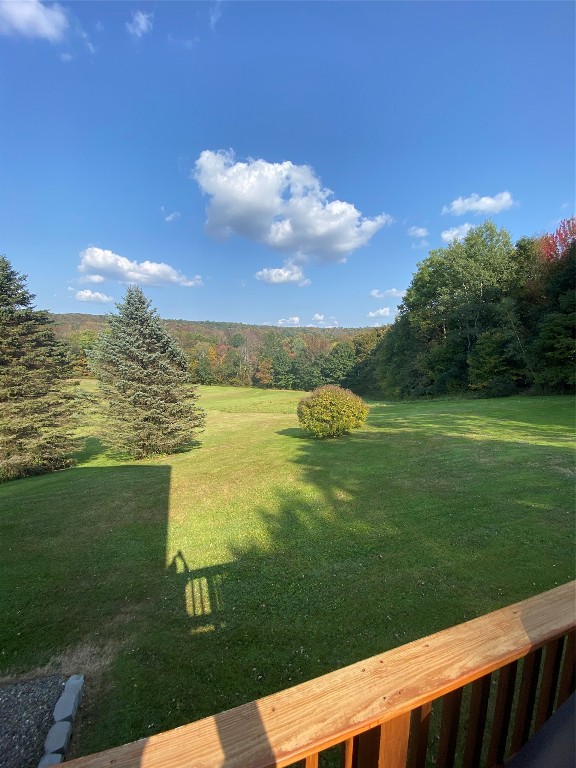 310 Town Line Road Kirkwood, NY 13795 - Photo 8 of 35 Gallery Image 8
