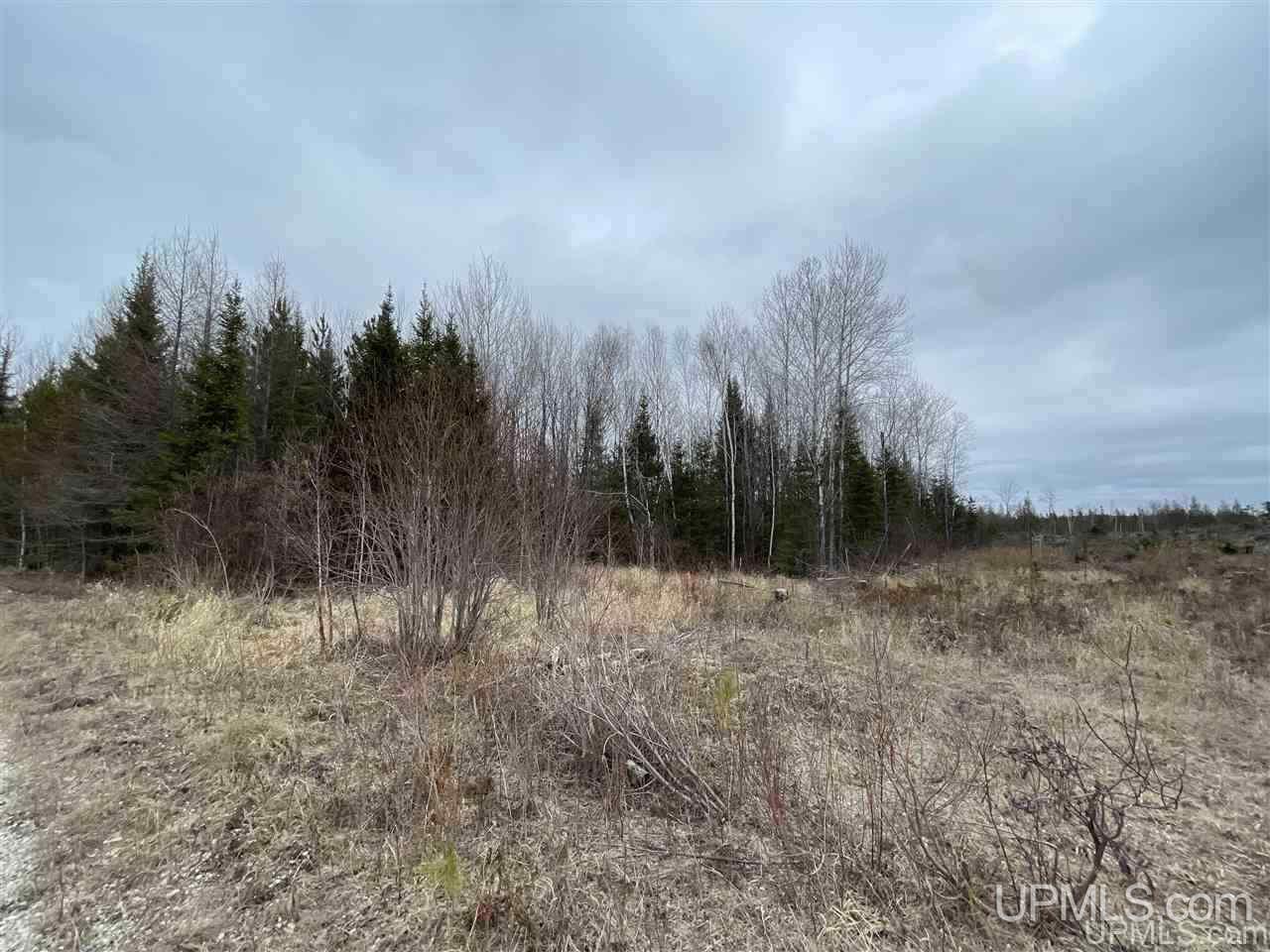 Tbd 2235 Road, Unit 3 Wetmore, MI 49895 - Photo 9 of 13