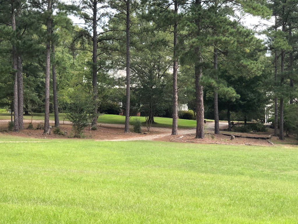 200 Butler Road Hodges, SC 29653 - Photo 37 of 38