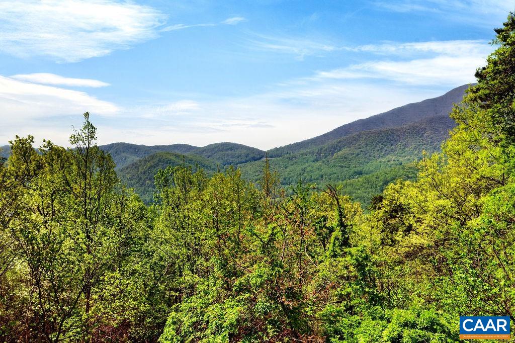 1059 Bryant Mountain Road Roseland, VA 22967 - Photo 42 of 58