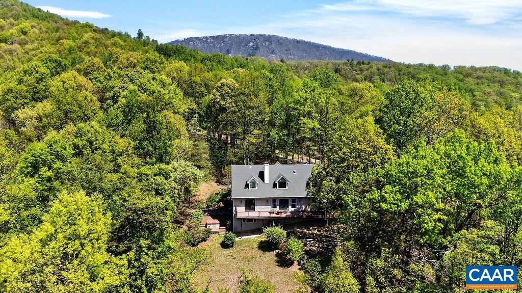 1059 Bryant Mountain Road Roseland, VA 22967 - Photo 55 of 58