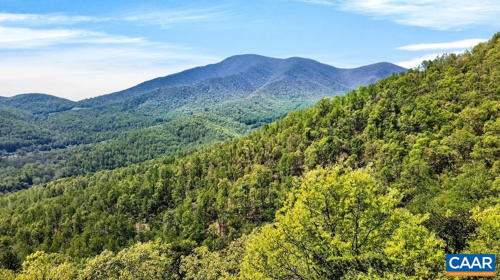 1059 Bryant Mountain Road Roseland, VA 22967 - Photo 57 of 58