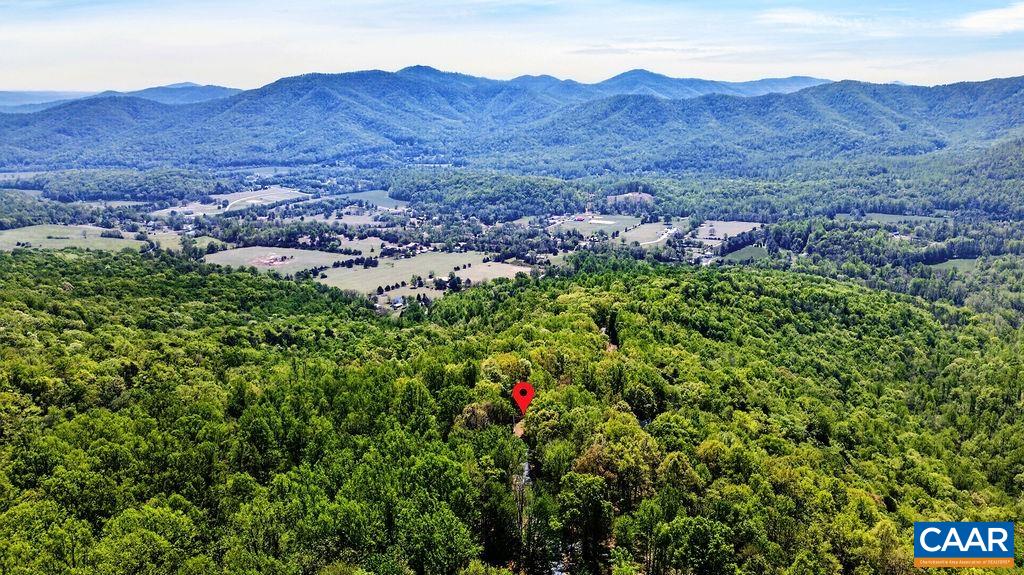 1059 Bryant Mountain Road Roseland, VA 22967 - Photo 58 of 58