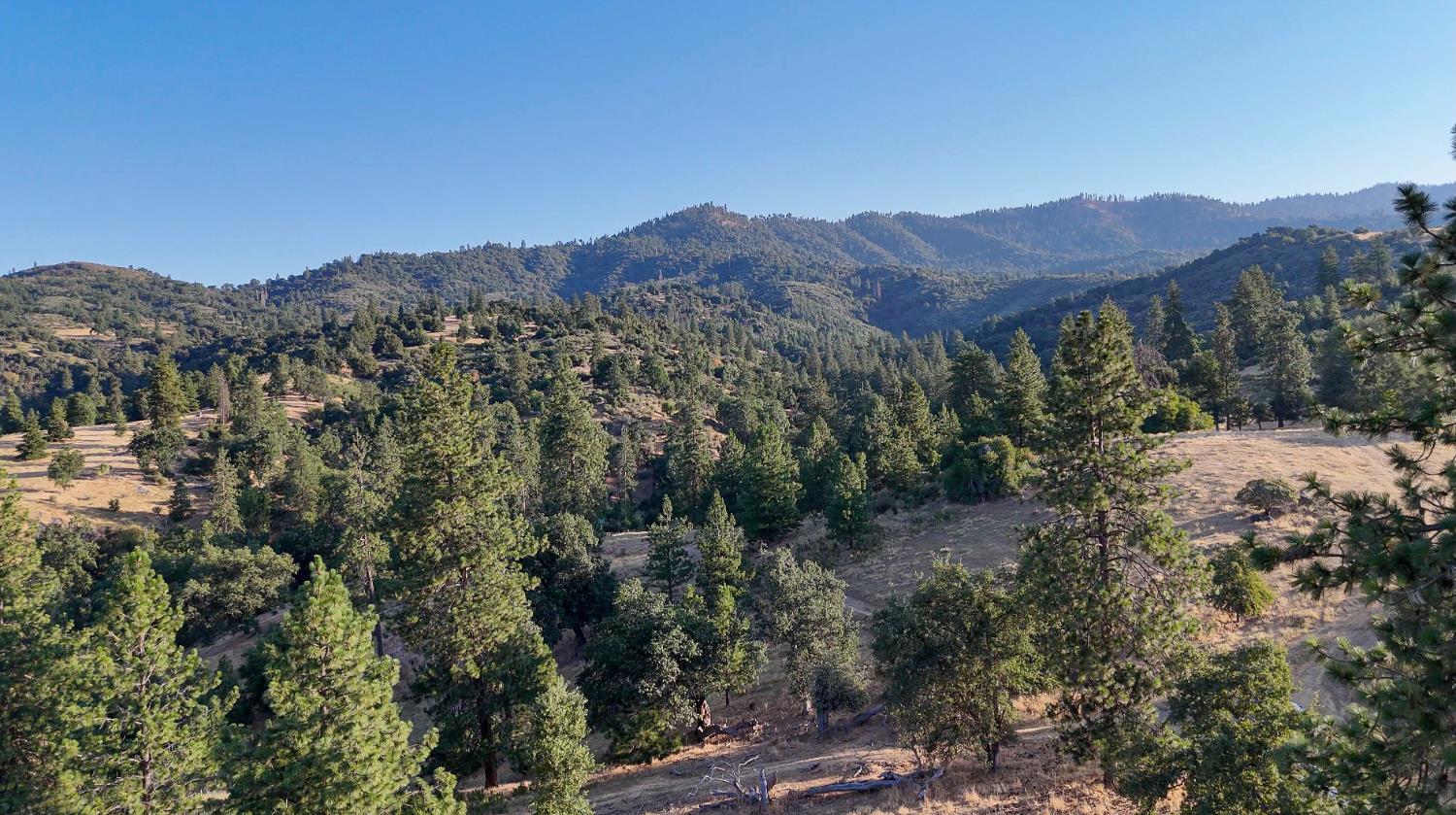 0 Whitaker Forest Road Miramonte, CA 93603 - Photo 25 of 78 a view of a house with a mountain and a forest