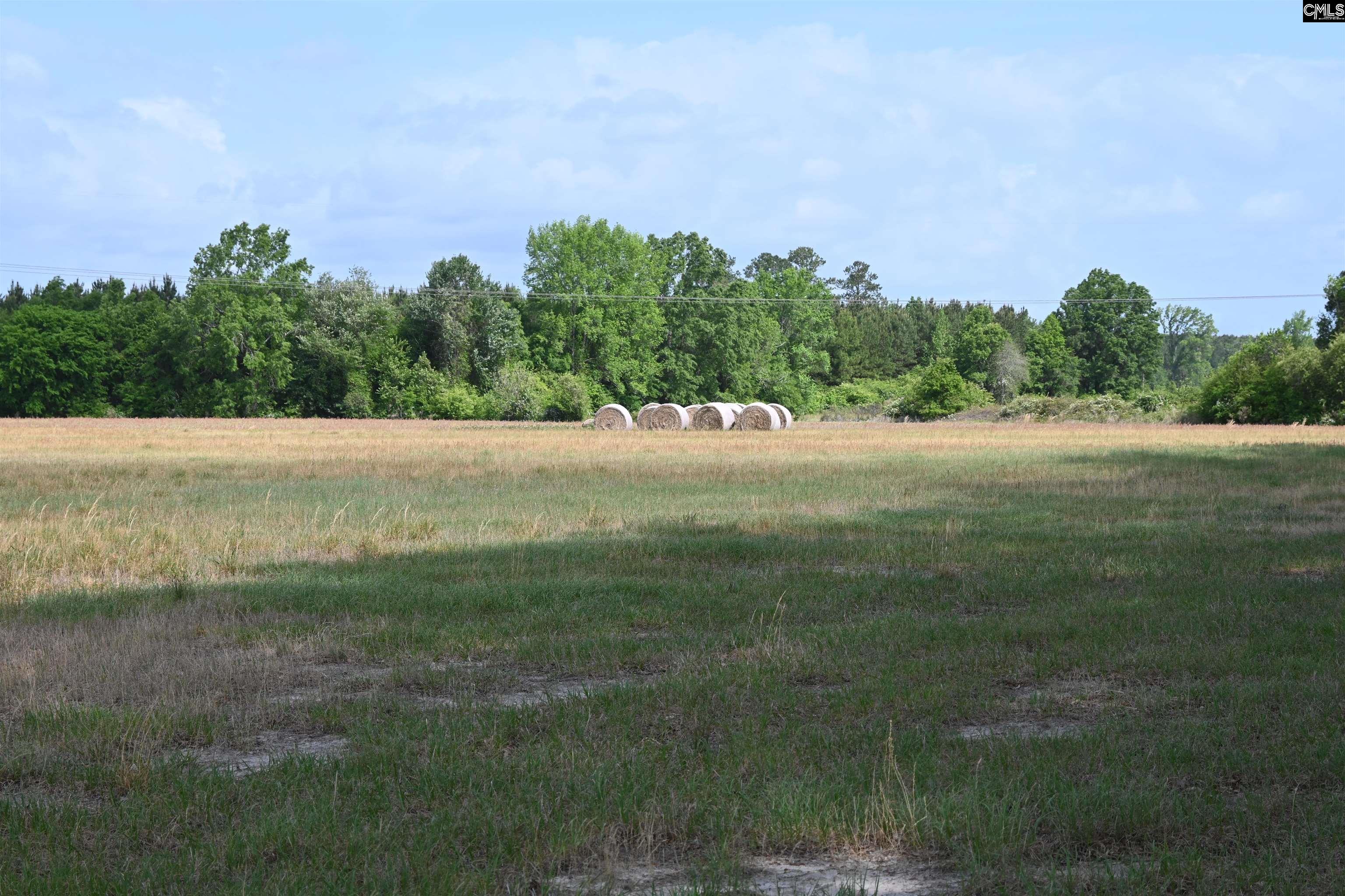 Tbd Gallowaytown Road Hartsville, SC 29550 - Photo 3 of 34
