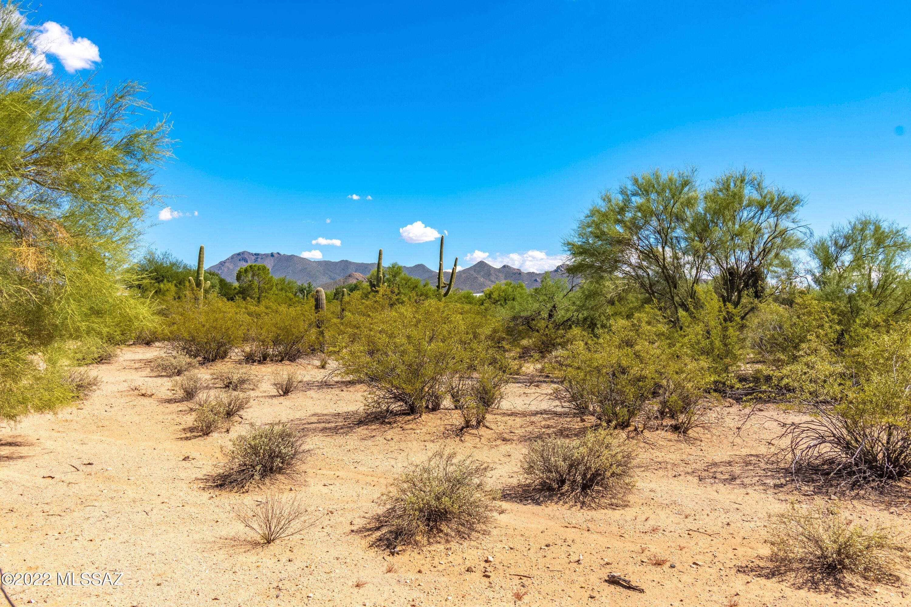 12389 West Sunset Road Tucson, AZ 85743 - Photo 18 of 29 Gallery Image 18