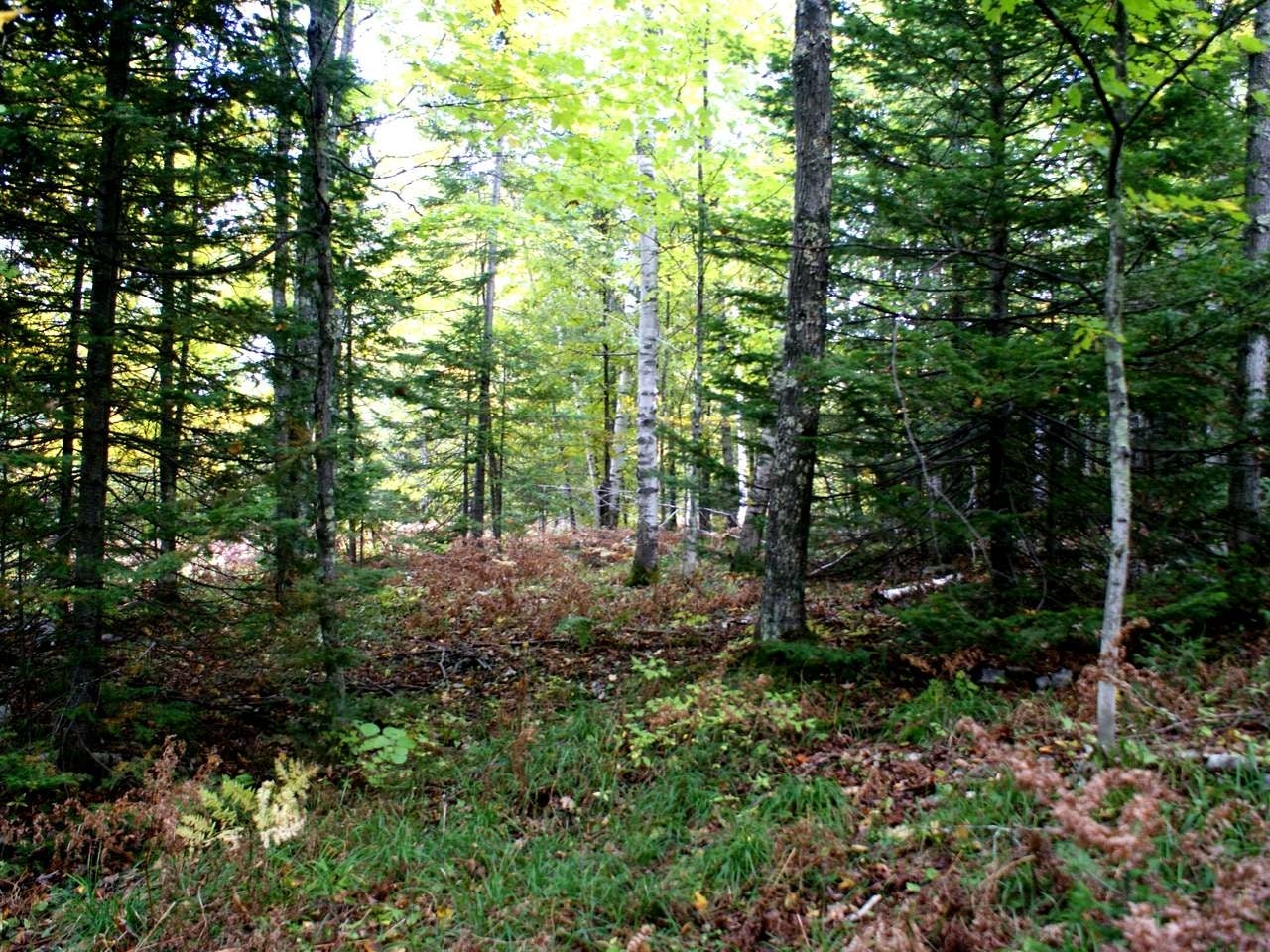 On Vera Lane Presque Isle, WI 54557 - Photo 5 of 9 Gallery Image 5