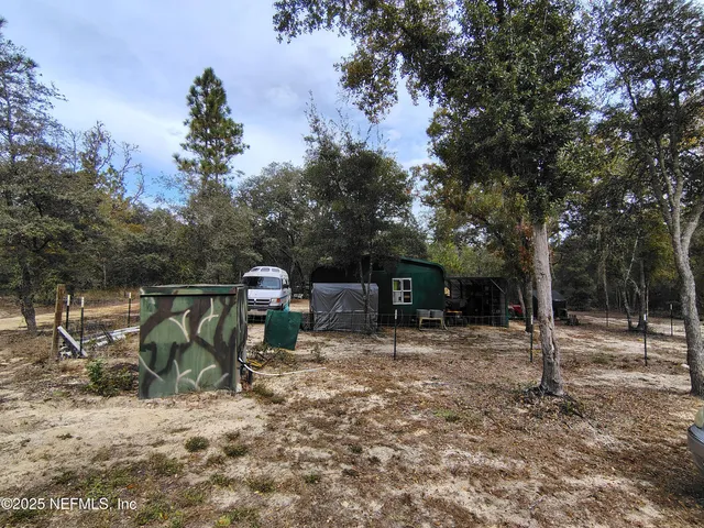 a view of backyard with a tv and a large tree