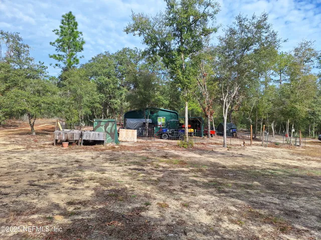 a view of a yard with a tree