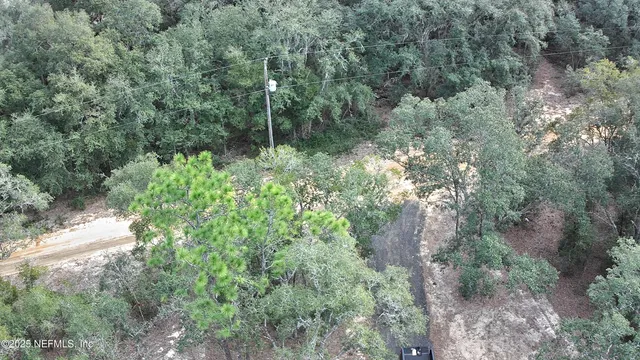a view of a yard with trees