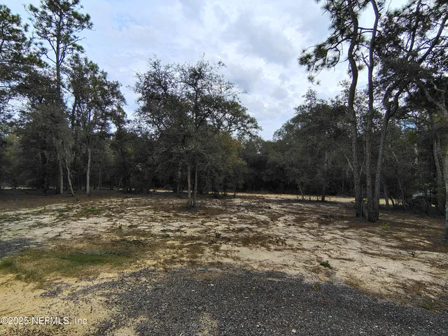 an aerial view of a houses with outdoor space and trees