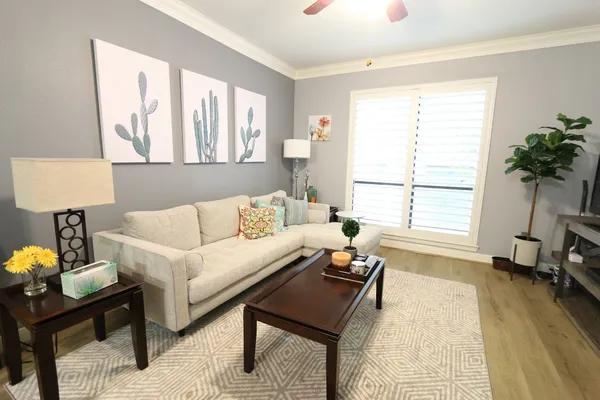a living room with furniture and a potted plant