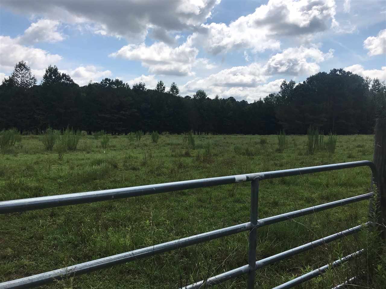 0 Hinkle Road Sardis, TN 38371 - Photo 2 of 5