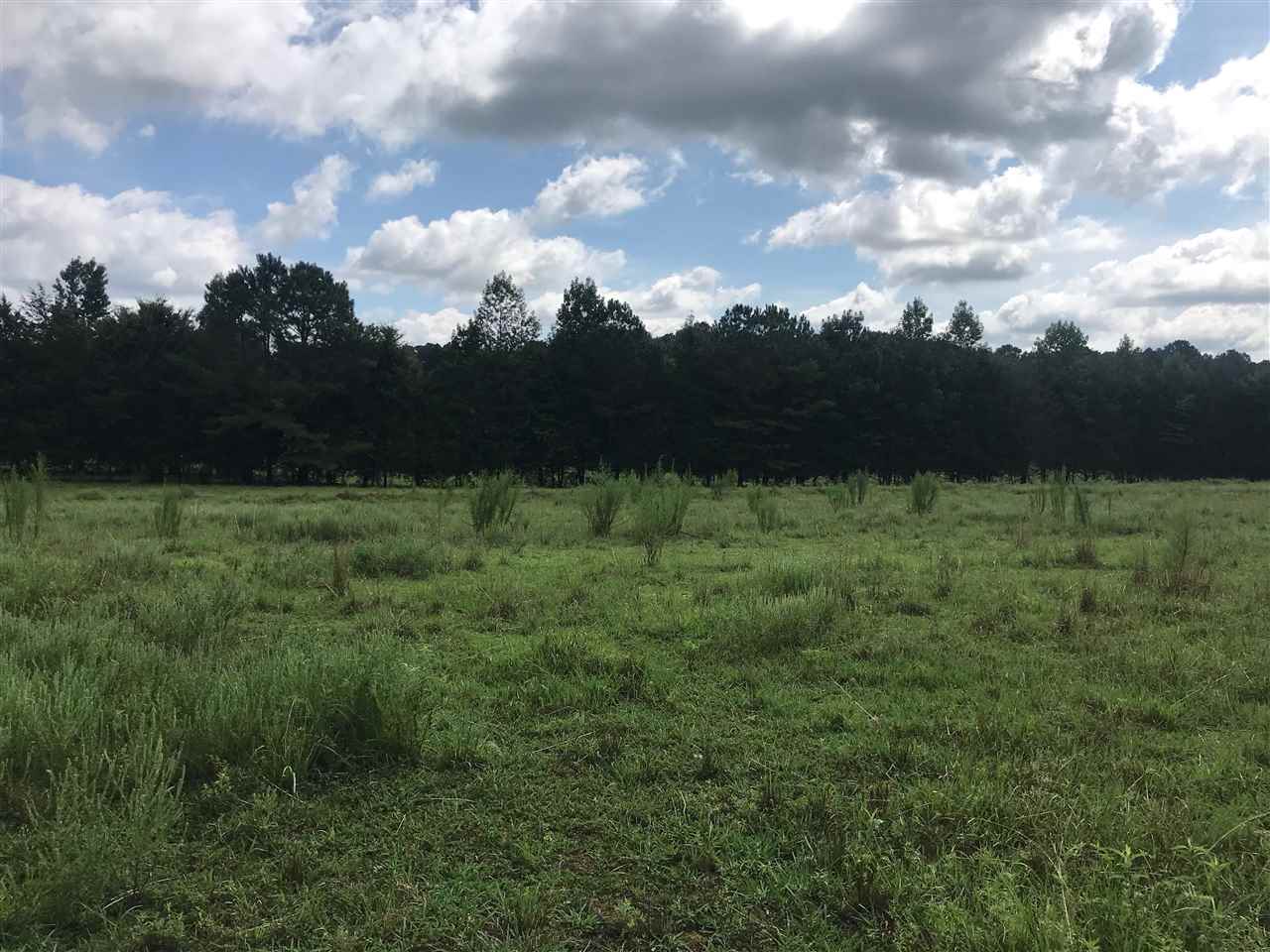 0 Hinkle Road Sardis, TN 38371 - Photo 3 of 5