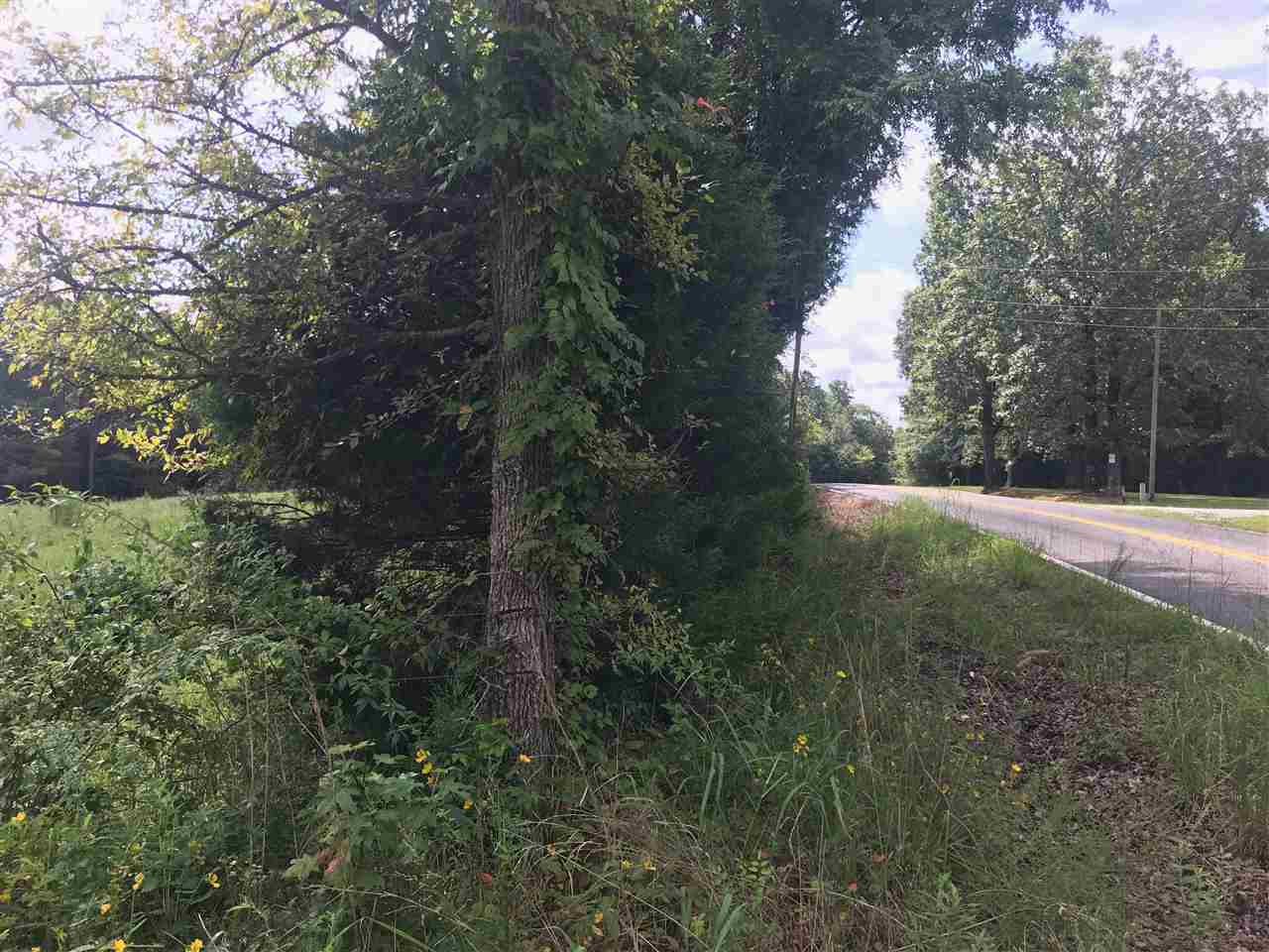 0 Hinkle Road Sardis, TN 38371 - Photo 4 of 5