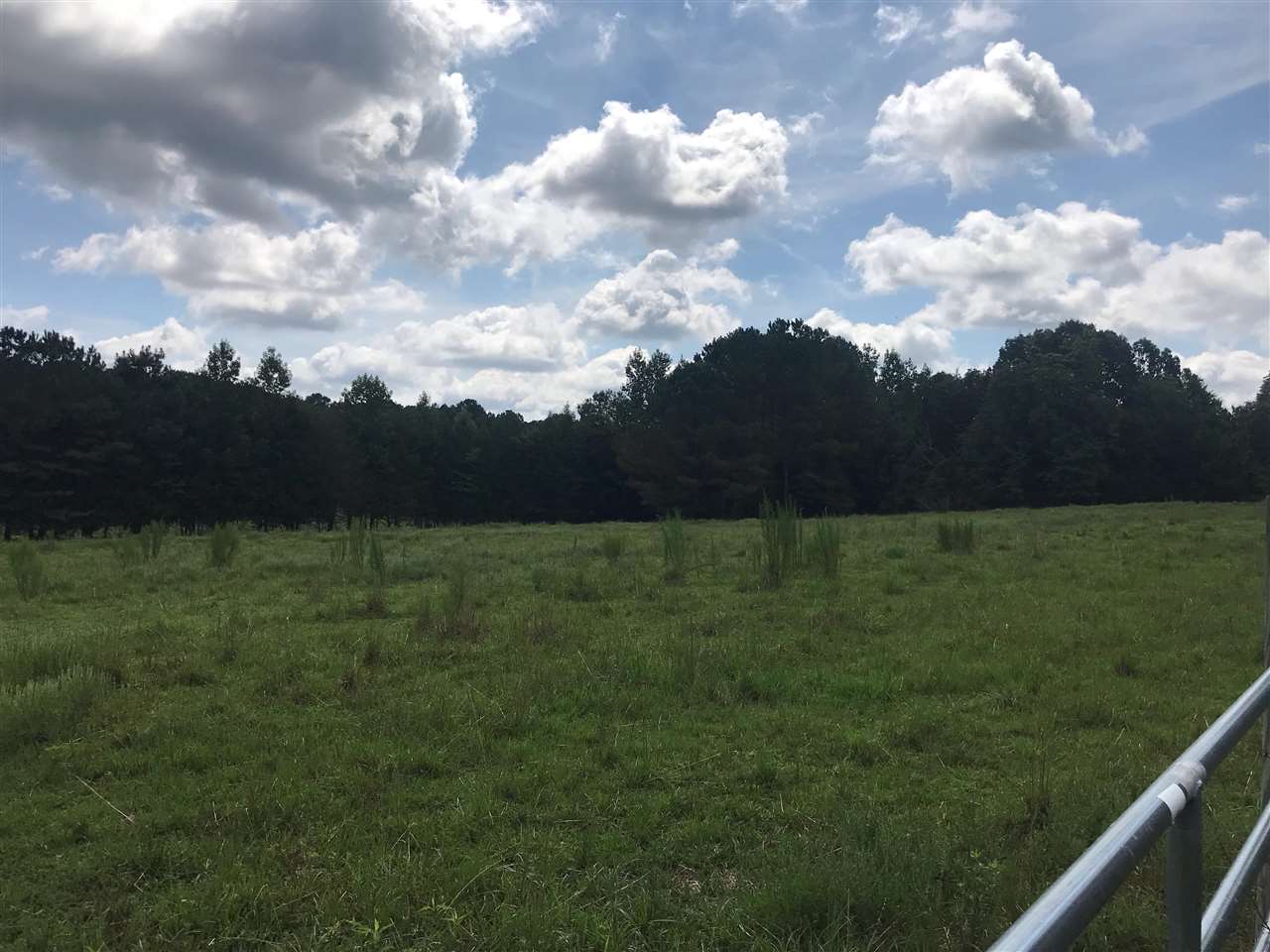 0 Hinkle Road Sardis, TN 38371 - Photo 5 of 5