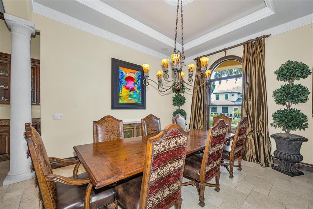 10031 Milano Drive Trinity, FL 34655 - Photo 15 of 100