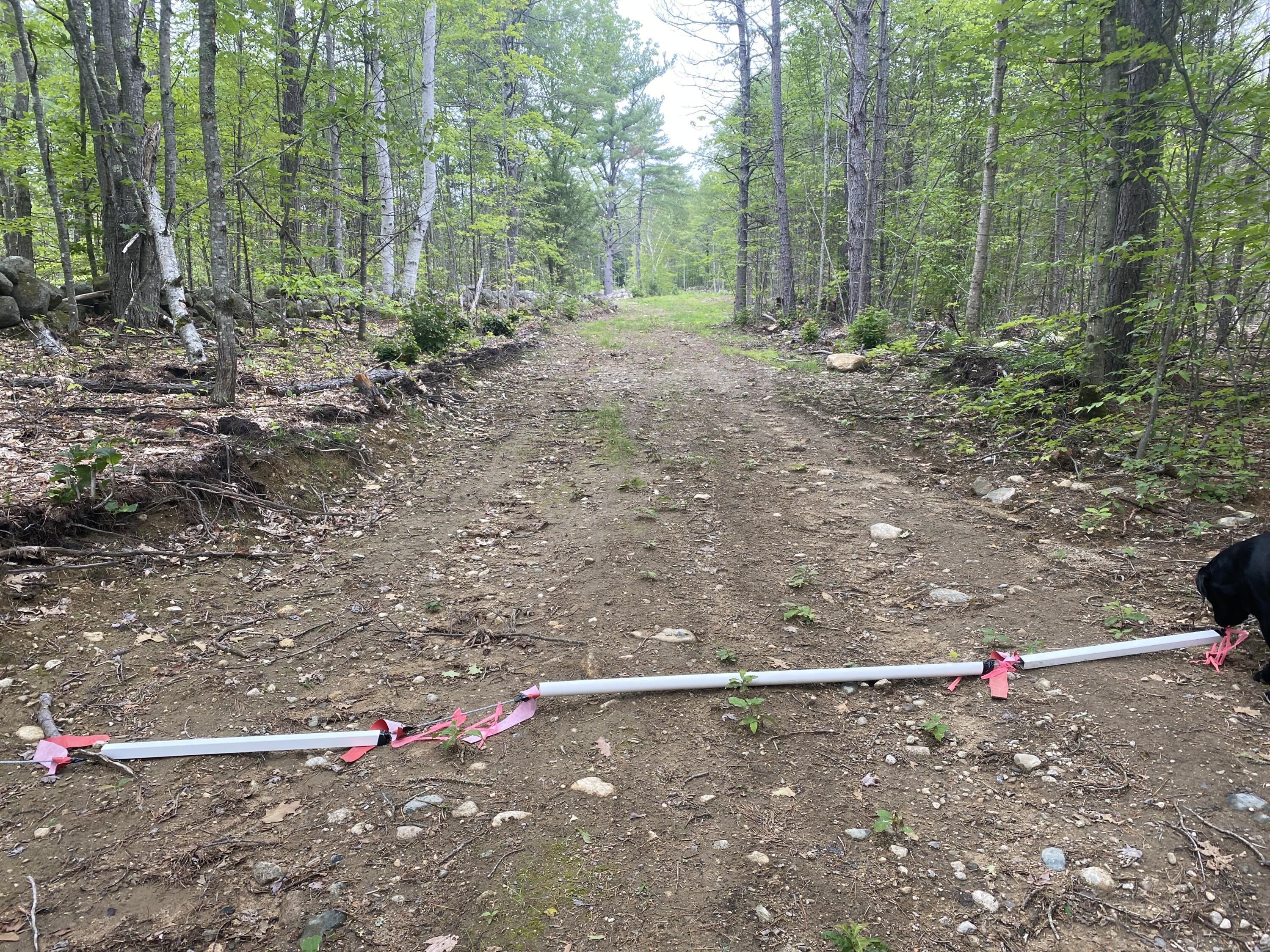 19 Off Peary Mountain Road Brownfield, ME 04010 - Photo 2 of 26 IMG_5742