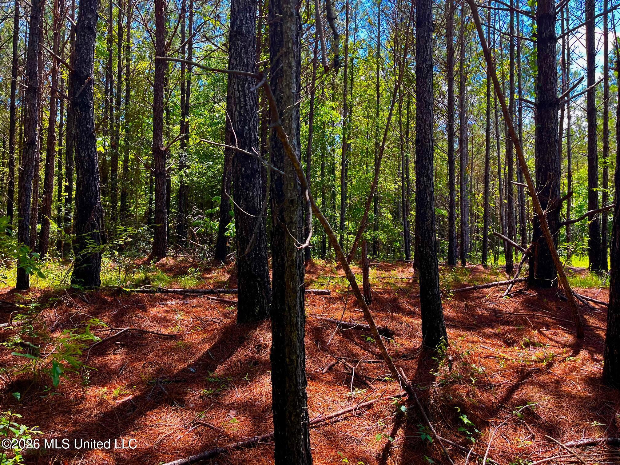 Arthur Drive Brookhaven, MS 39601 - Photo 7 of 20 ar5