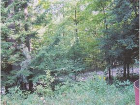 123 Hunsinger Road Hallstead, PA 18822 - Photo 2 of 6
