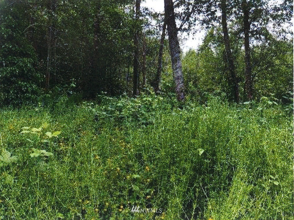 26 Center Road Everett, WA 98204 - Photo 9 of 12