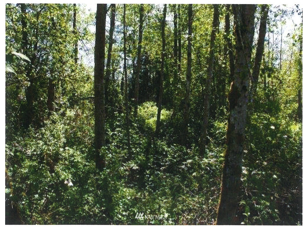 26 Center Road Everett, WA 98204 - Photo 10 of 12