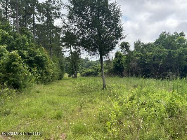 301 Freeman Road Southwest Summit, MS 39666 - Photo 39 of 43 IMG_4626