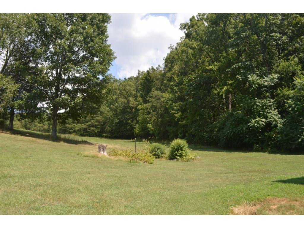 240 Shackleford Road Mosheim, TN 37818 - Photo 17 of 18 Nice back yard