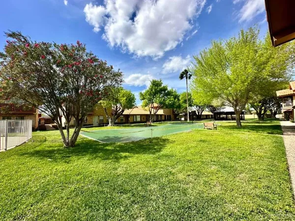 a view of a yard with plants and trees