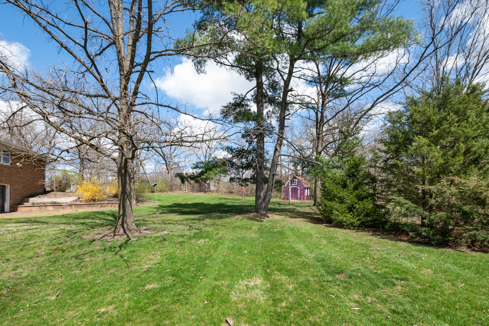 20009 East Brightway Road Mokena, IL 60448 - Photo 11 of 37 a view of an trees with a yard