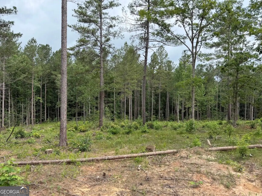 0 Mt Sinai Road, Unit LOT 1 Lula, GA 30554 - Photo 50 of 67