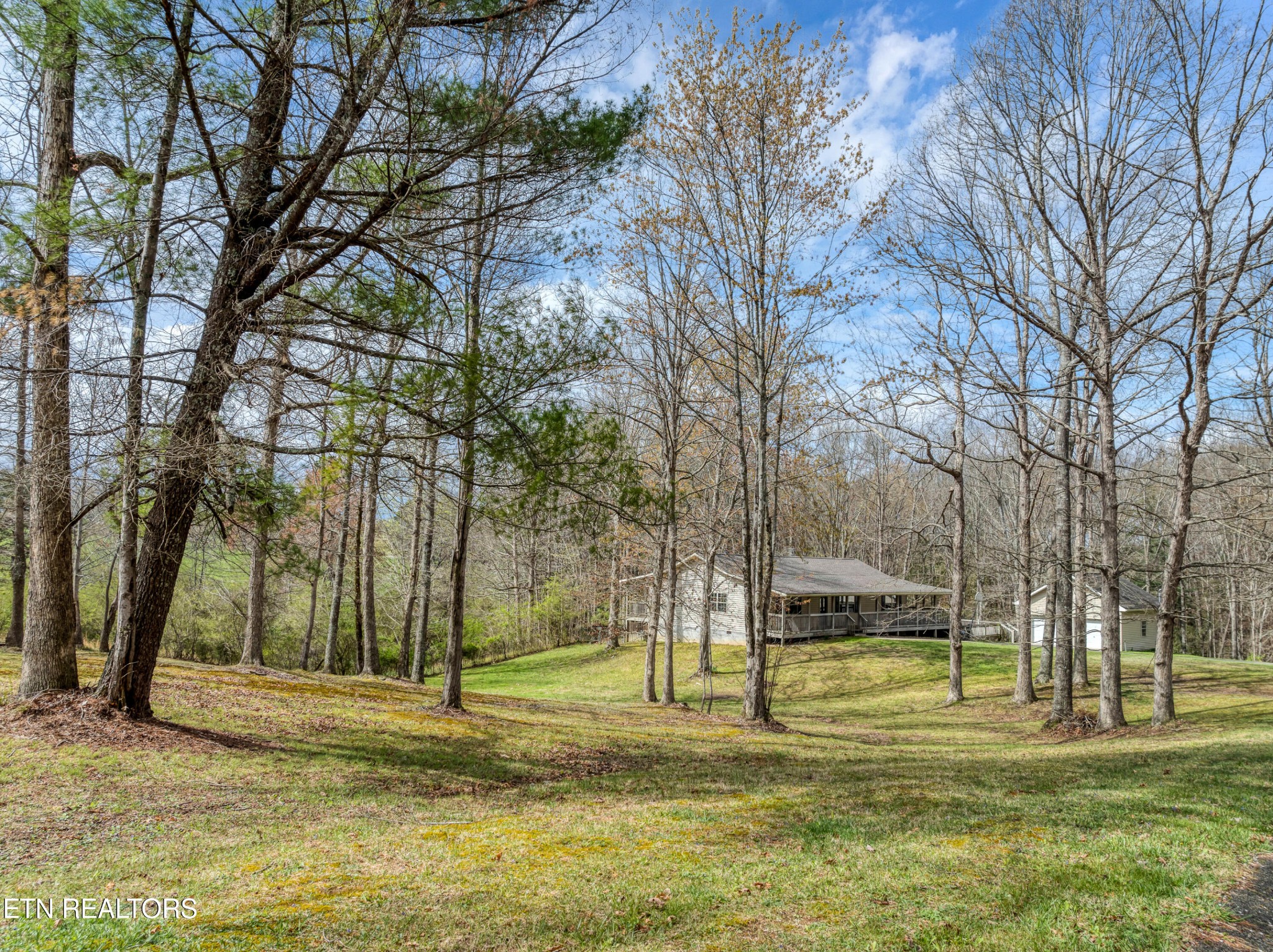 165 Colditz Oneida, TN 37841 - Photo 38 of 57 a view of a park with large trees