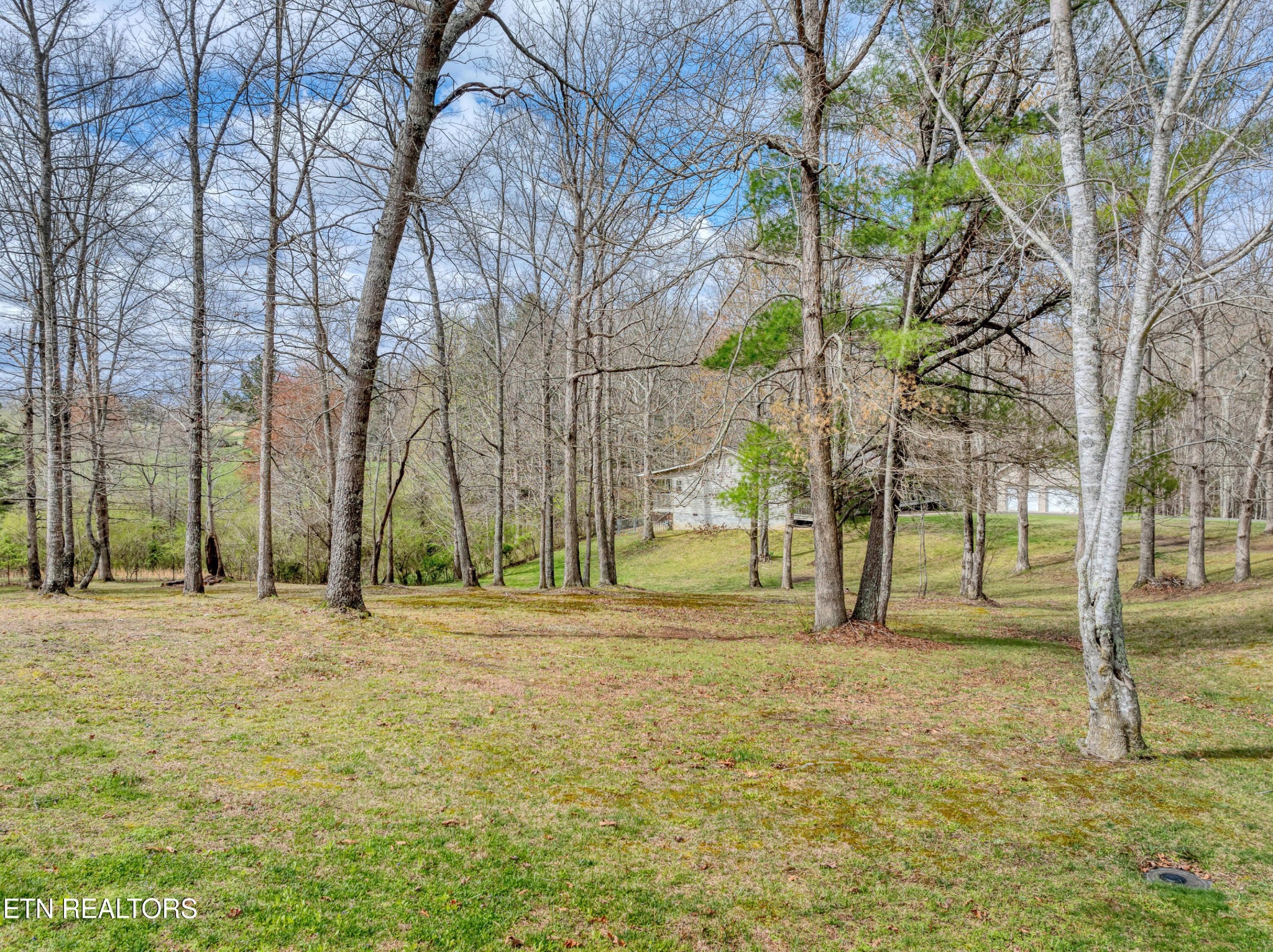 165 Colditz Oneida, TN 37841 - Photo 39 of 57 a view of a field with trees in the background