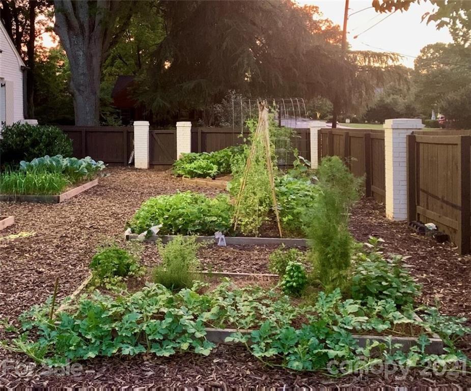 2901 Idlewood Circle Charlotte, NC 28209 - Photo 48 of 48 a view of a garden with plants