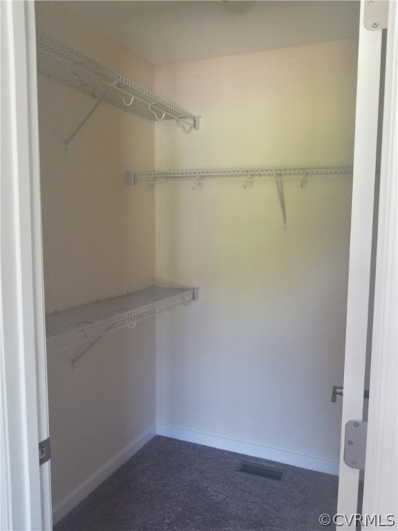 18720 Templeton Road Disputanta, VA 23842 - Photo 29 of 43 Walk in Master Closet
