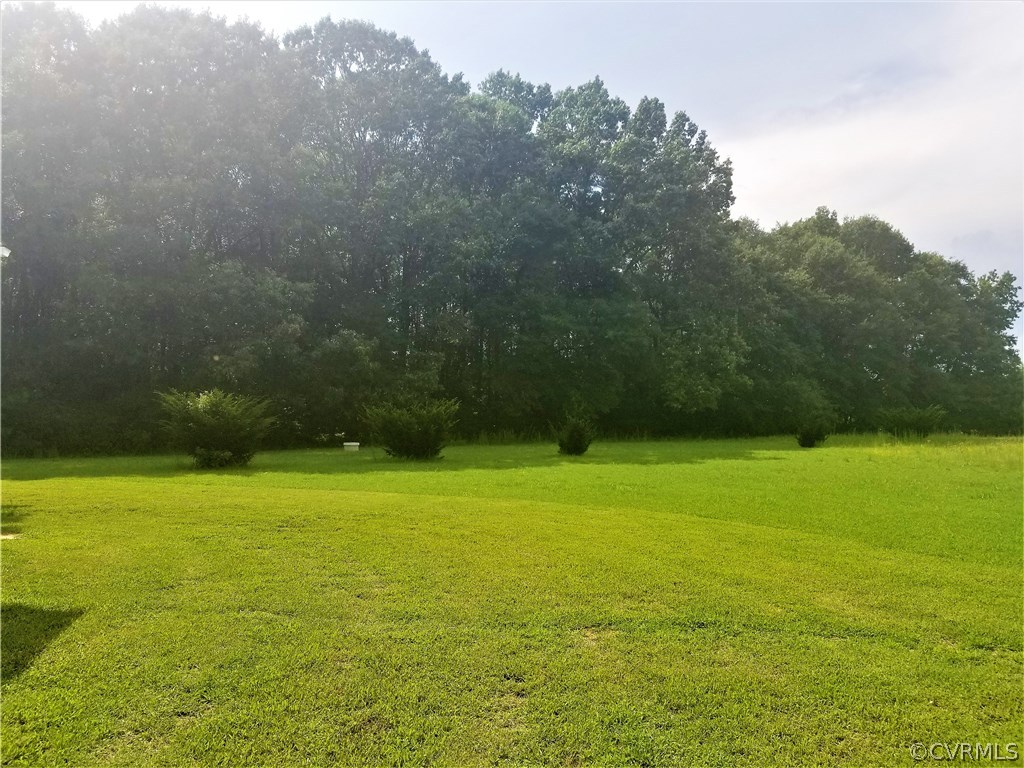 18720 Templeton Road Disputanta, VA 23842 - Photo 41 of 43 View looking into back yard, right side of house