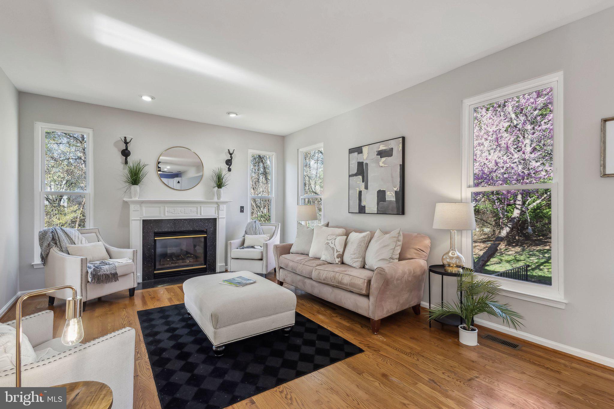 169 Basalt Drive Fredericksburg, VA 22406 - Photo 15 of 56 a living room with furniture and a fireplace