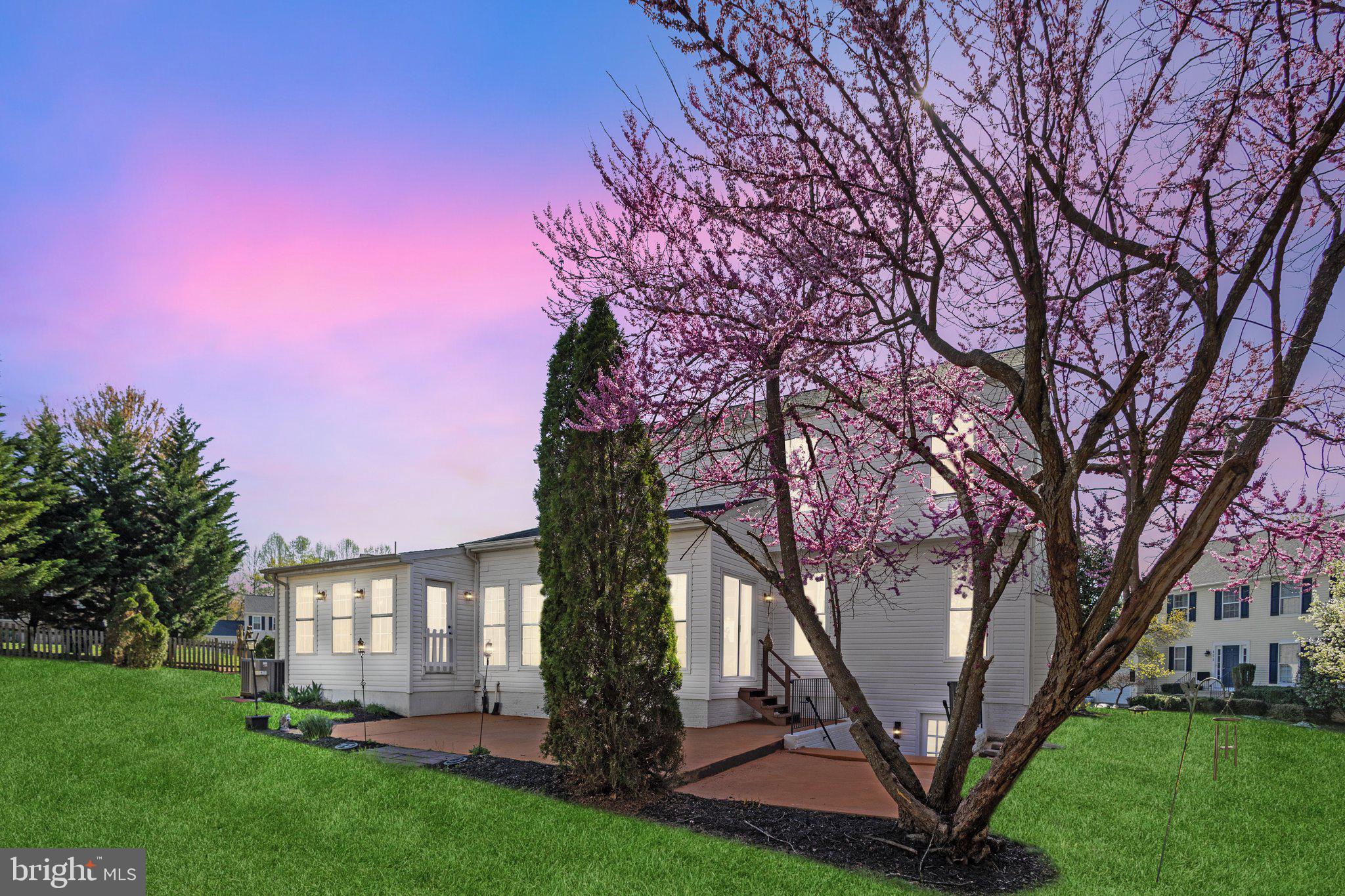 169 Basalt Drive Fredericksburg, VA 22406 - Photo 56 of 56 a front view of a house with garden and trees