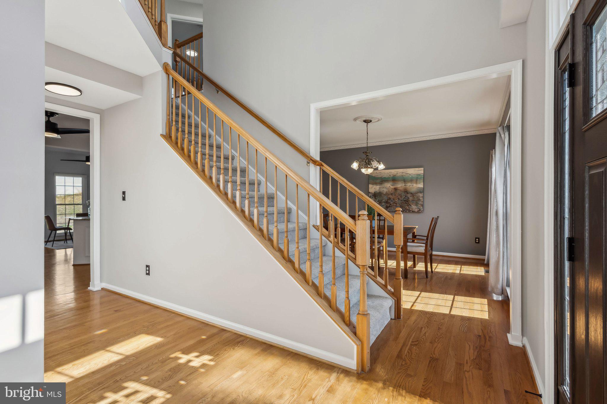 169 Basalt Drive Fredericksburg, VA 22406 - Photo 10 of 56 a view of staircase with lots of frames and a rug