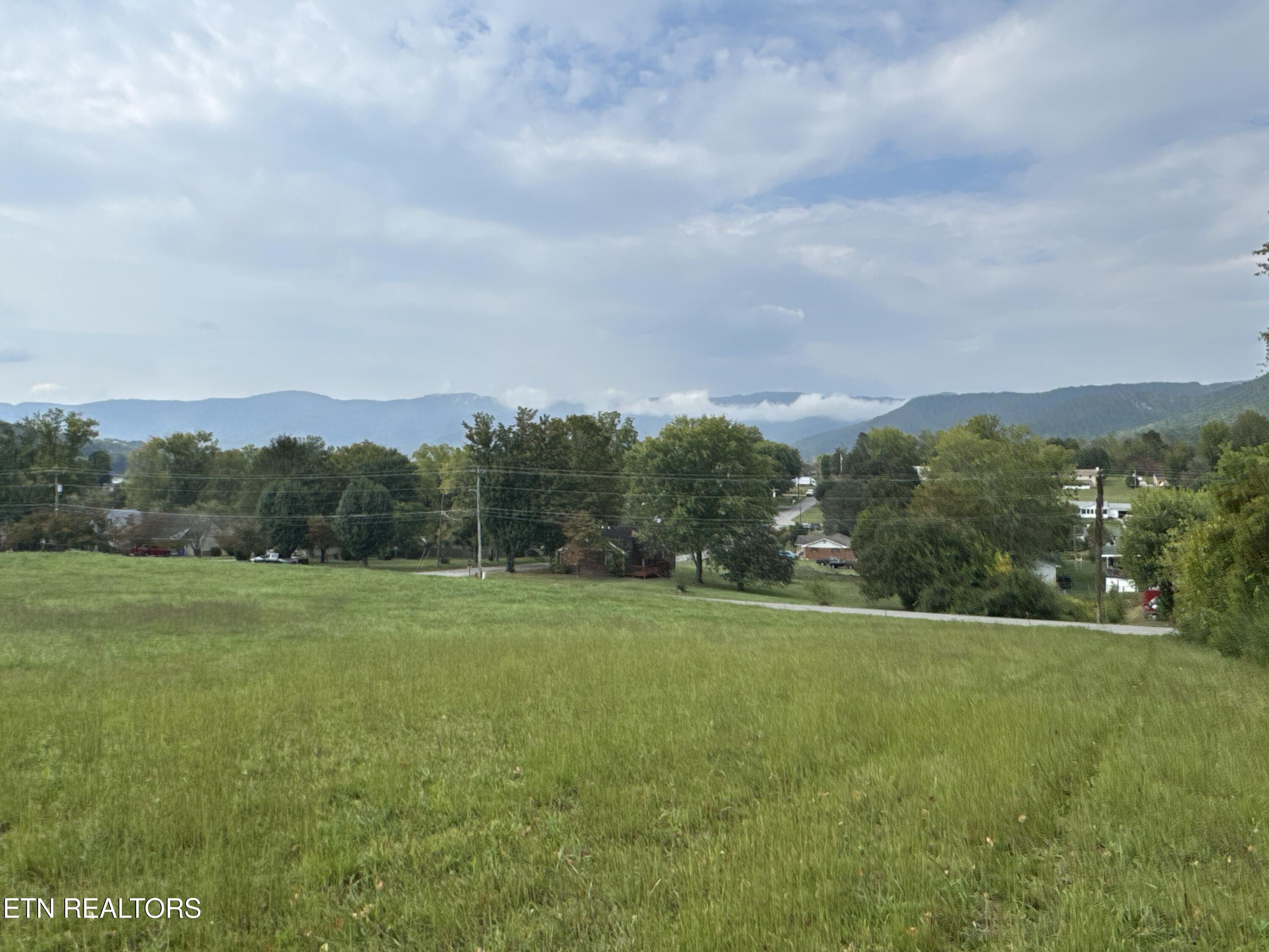 0 Eagle Bluff Road Jacksboro, TN 37757 - Photo 3 of 14 IMG_1880