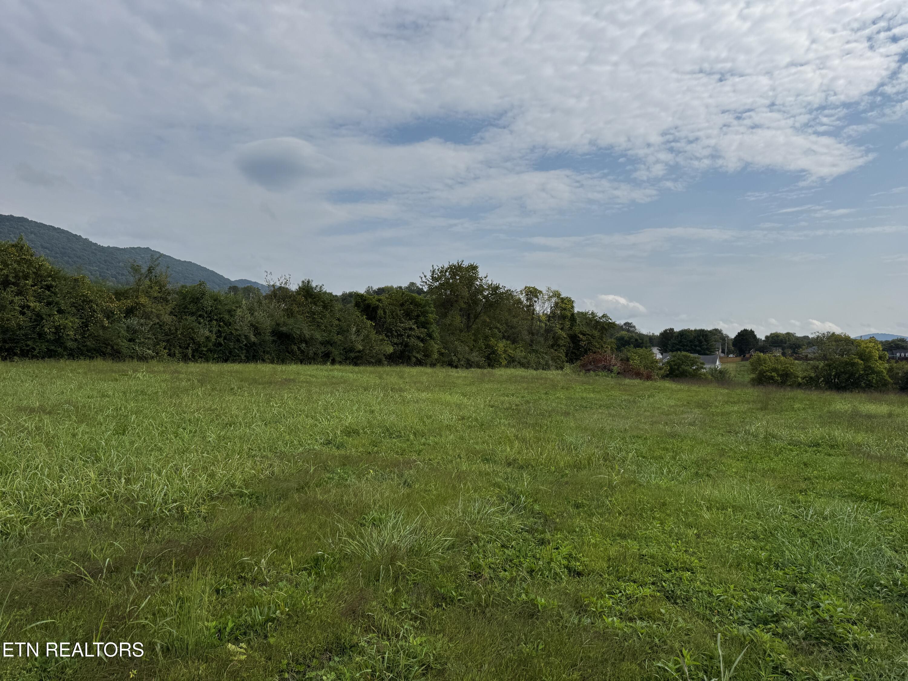 0 Eagle Bluff Road Jacksboro, TN 37757 - Photo 7 of 14 IMG_1884