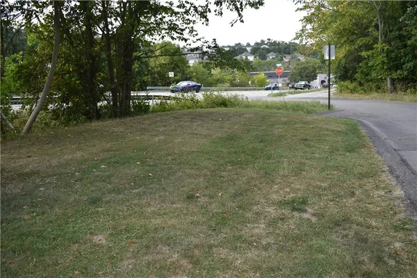 a view of a park with large trees