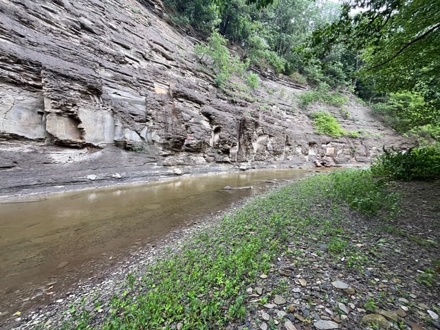 0 Stebbins Road South Silver Creek, NY 14136 - Photo 6 of 50