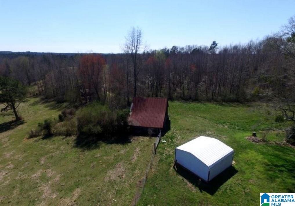 853 Bailey Road Cragford, AL 36255 - Photo 37 of 39