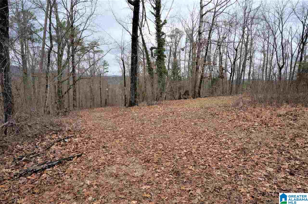 8191 Advent Cutoff Road, Unit 2 97 ACRES Trussville, AL 35173 - Photo 4 of 10
