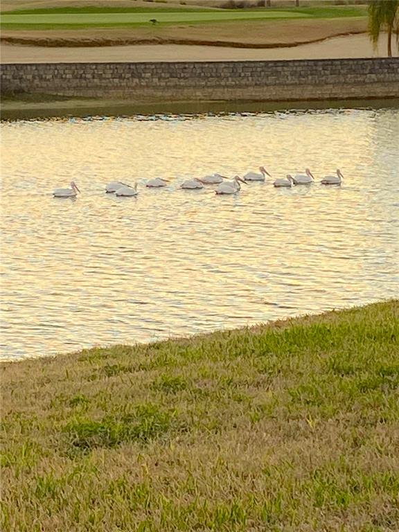 9479 Southwest 71st Loop Ocala, FL 34481 - Photo 58 of 84