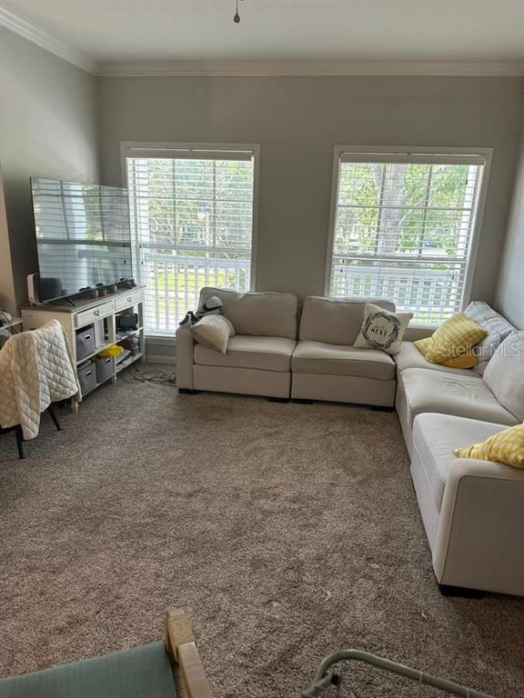 599 Campus Street, Unit 599 Celebration, FL 34747 - Photo 19 of 24 a living room with furniture and a window