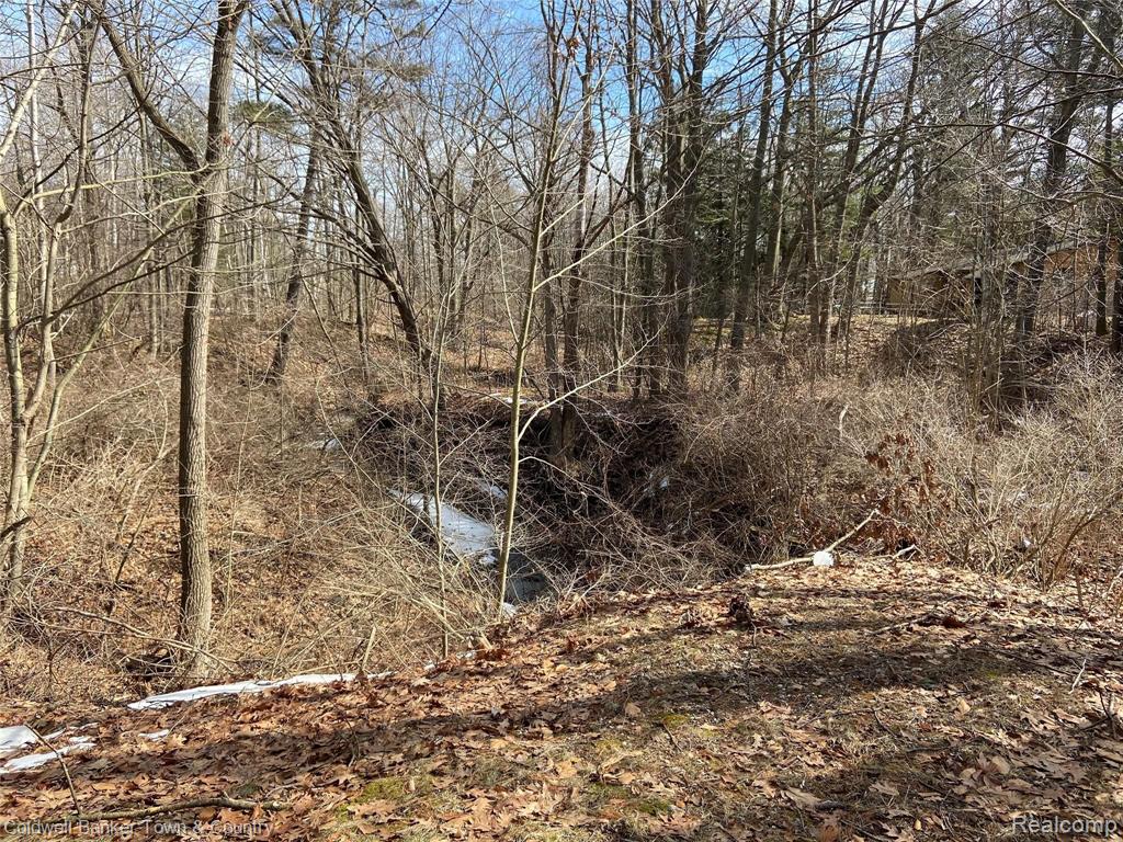 3925 Lakeshore Road Lexington, MI 48450 - Photo 4 of 10